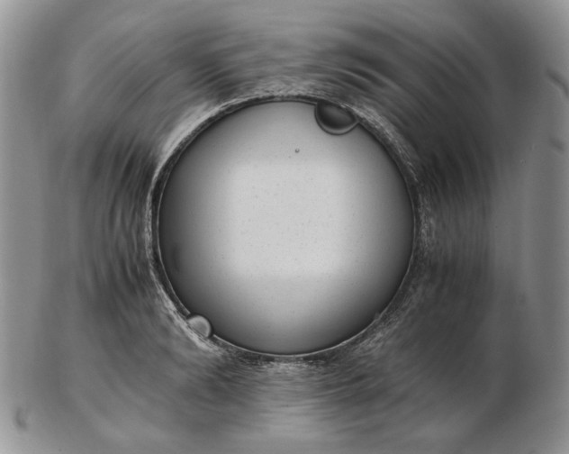 X0000102760894200809021005