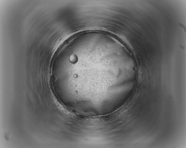 X0000102760895200809021005