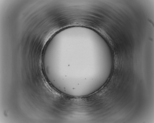 X0000102760896200809021005