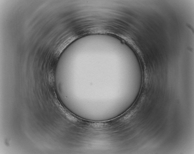 X0000102760897200809021005