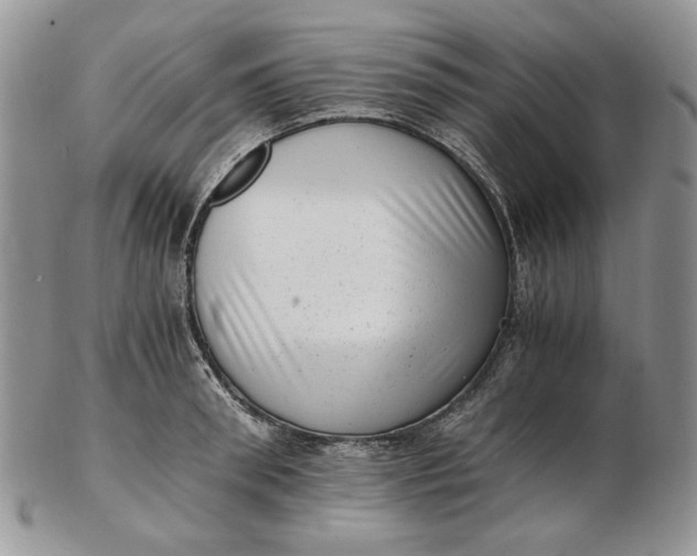 X0000102760898200809021005