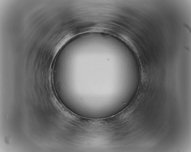 X0000102760899200809021005