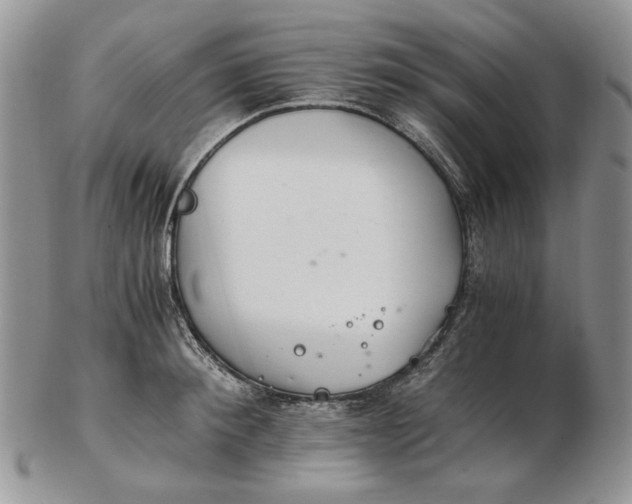 X0000102760900200809021005