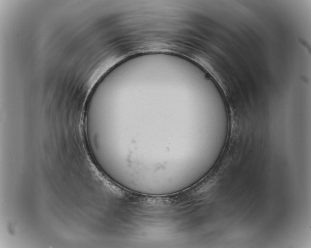 X0000102760901200809021005