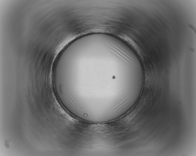 X0000102760902200809021005