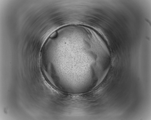 X0000102760903200809021005