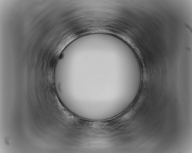 X0000102760905200809021005