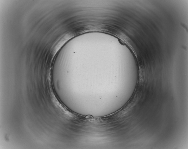 X0000102760906200809021005