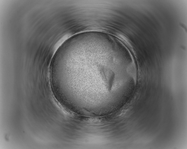 X0000102760907200809021005