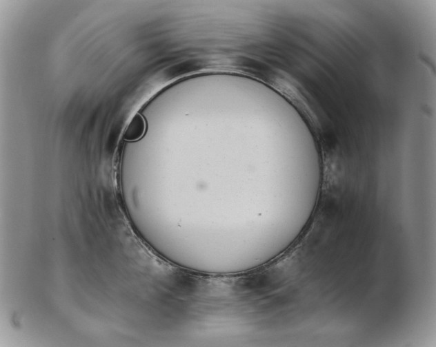 X0000102760908200809021005