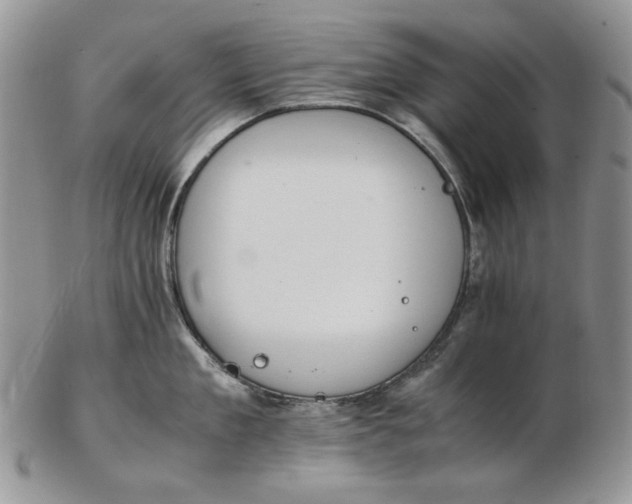 X0000102760909200809021004