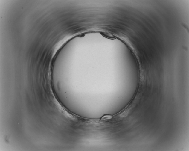 X0000102760910200809021004