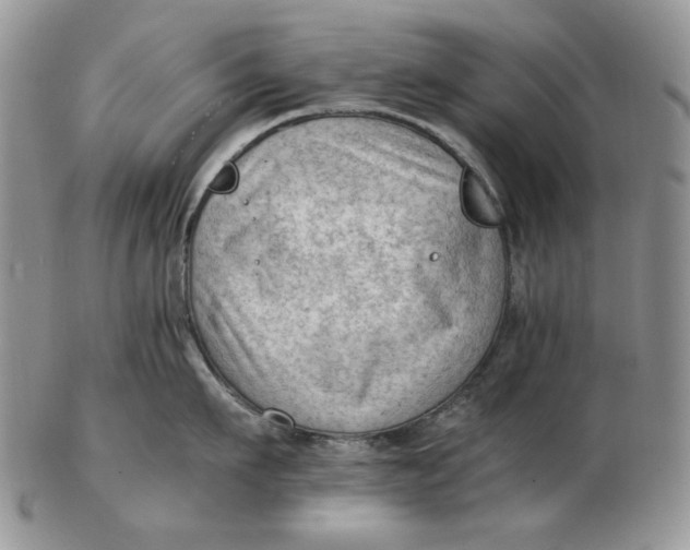 X0000102760911200809021004