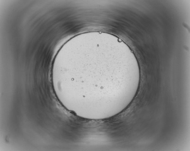 X0000102760912200809021004