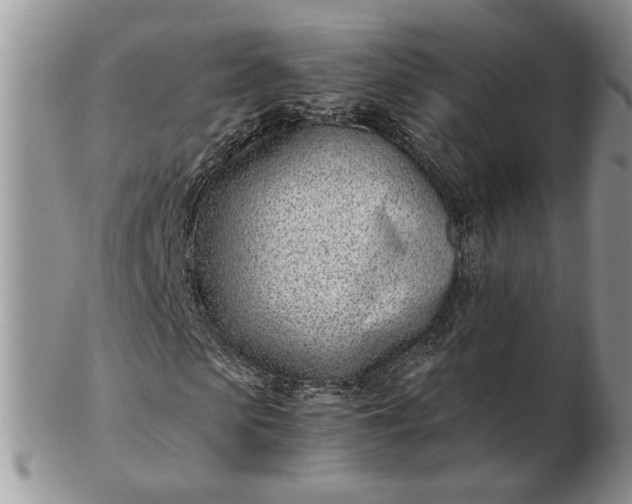 X0000102760913200809021004