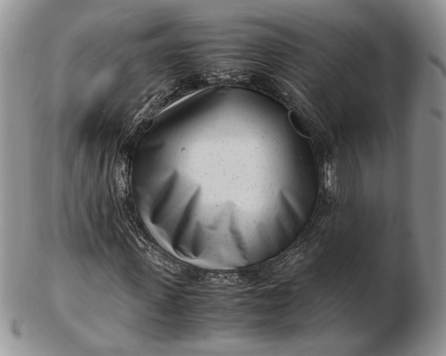 X0000102760915200809021004