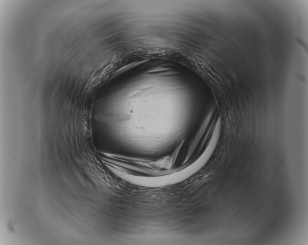 X0000102760916200809021004