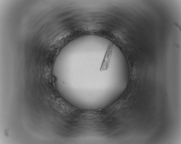 X0000102760917200809021004