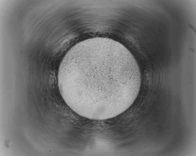 X0000102760918200809021004