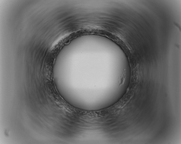 X0000102760919200809021004