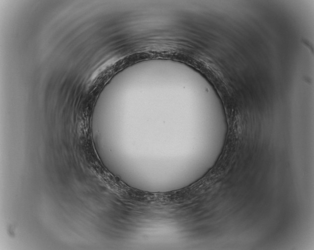 X0000102760920200809021004