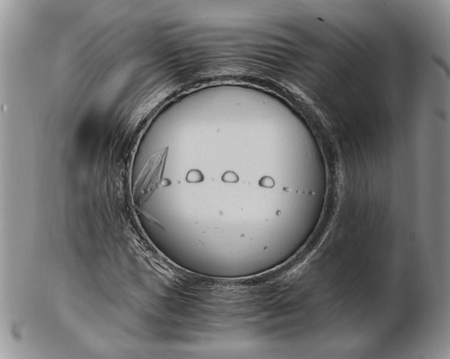 X0000102760921200809021004