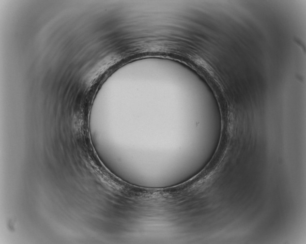 X0000102760922200809021004