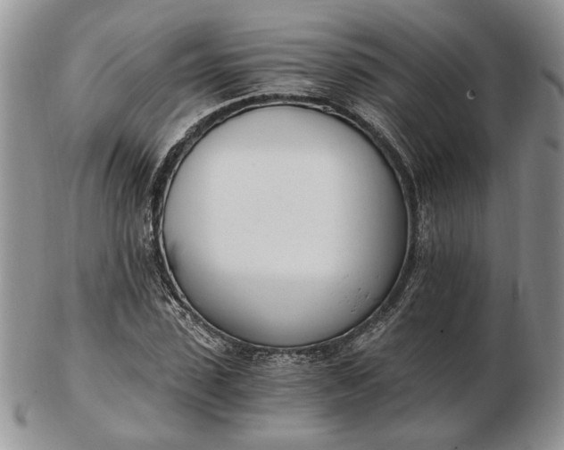 X0000102760923200809021004