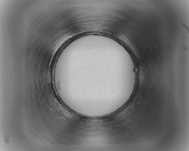 X0000102760924200809021004