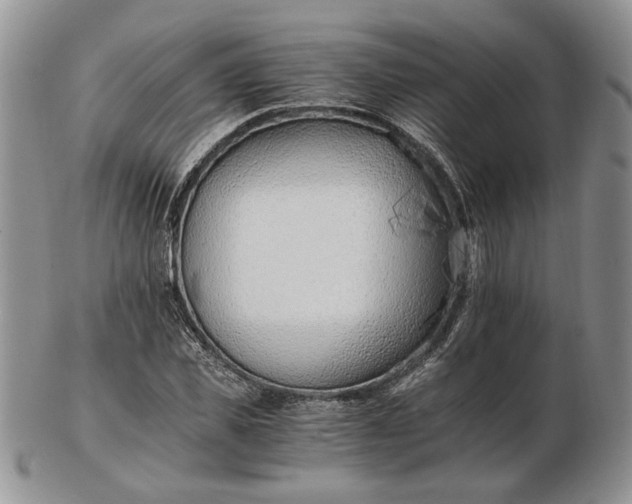 X0000102760925200809021004