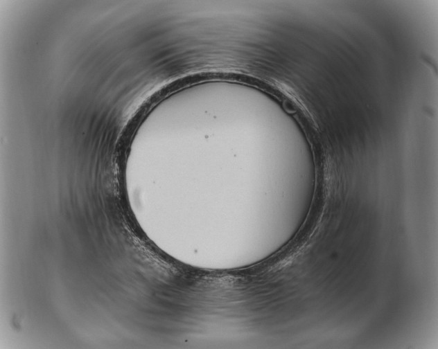 X0000102760926200809021004