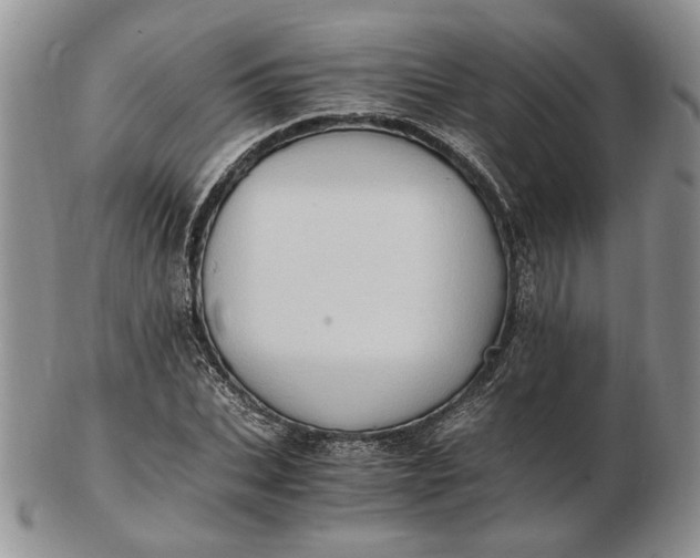 X0000102760927200809021004