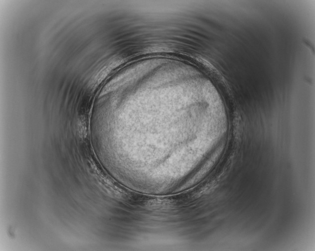 X0000102760929200809021004