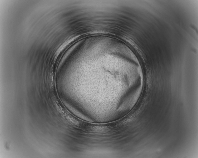 X0000102760933200809021004