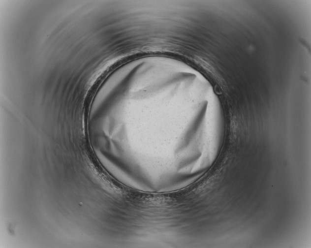 X0000102760934200809021004