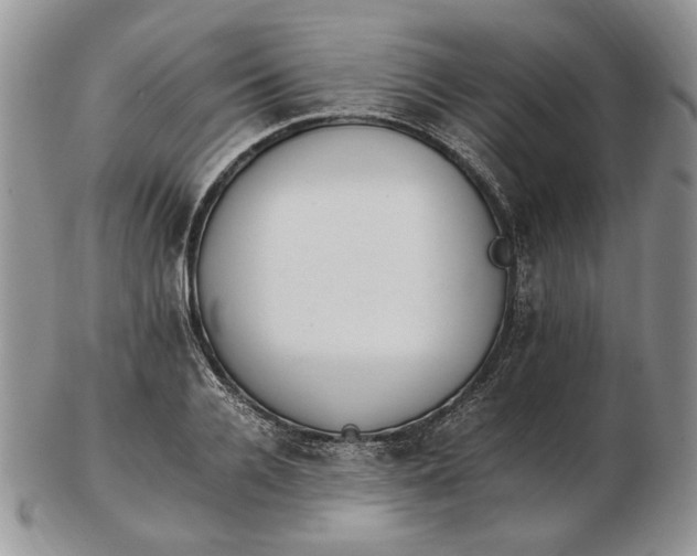 X0000102760936200809021004