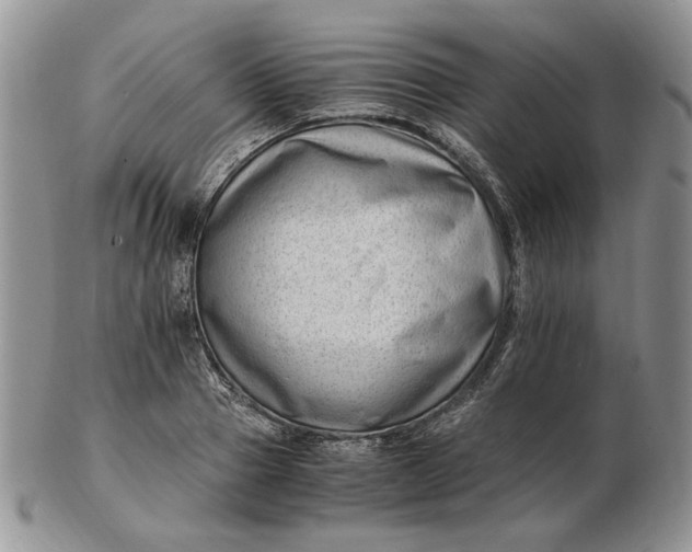 X0000102760937200809021004