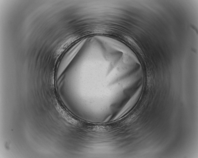 X0000102760938200809021004