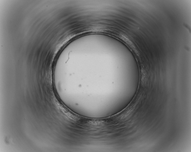 X0000102760939200809021004