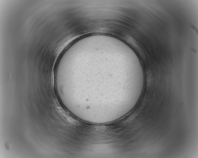 X0000102760940200809021004