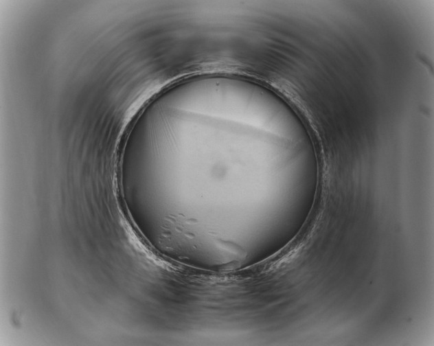 X0000102760941200809021004