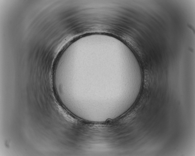 X0000102760942200809021004