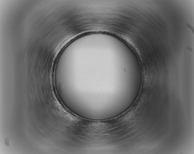 X0000102760943200809021004