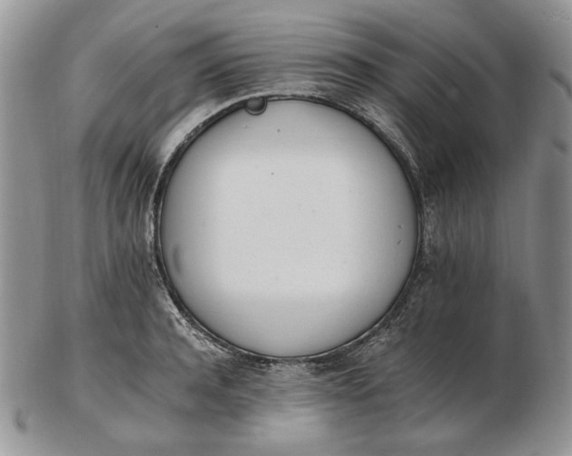 X0000102760944200809021004