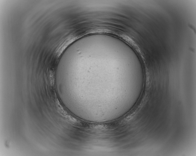 X0000102760945200809021004