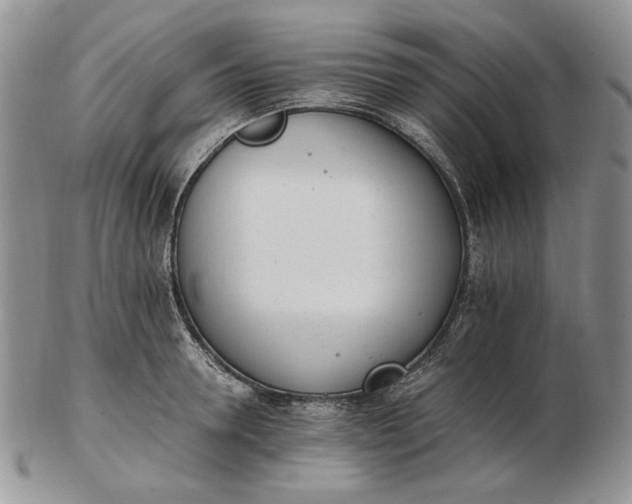 X0000102760946200809021004