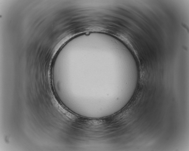 X0000102760947200809021004