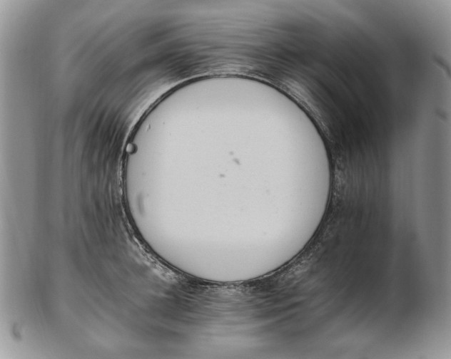 X0000102760948200809021004