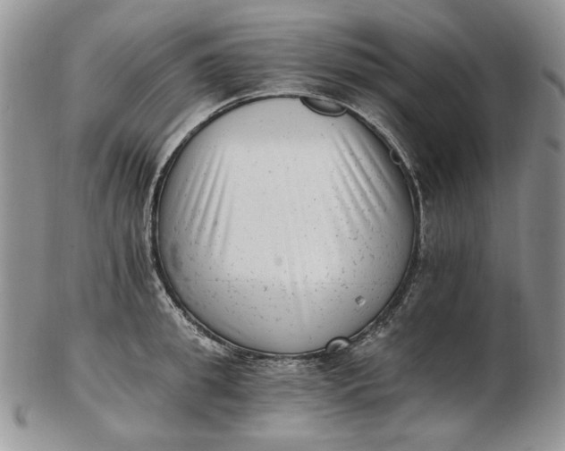 X0000102760949200809021004