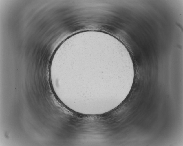 X0000102760950200809021004